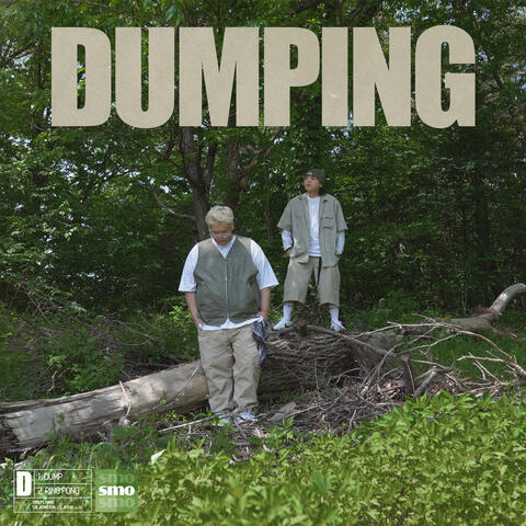 DUMPING album art