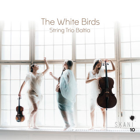 The White Birds album art