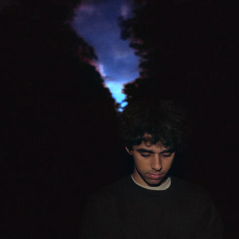 Ceilings album art