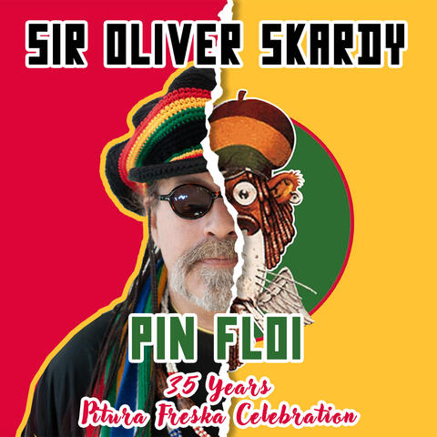 Pin Floi album art