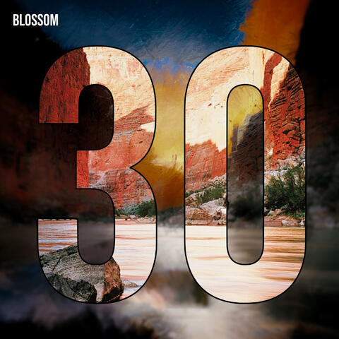 Blossom album art