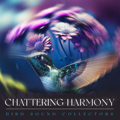Chattering Harmony album art