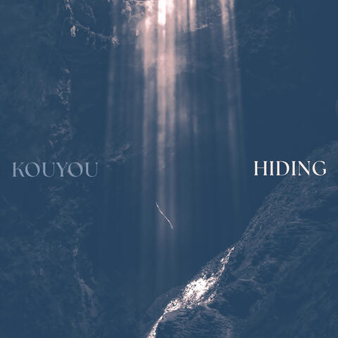 Hiding album art