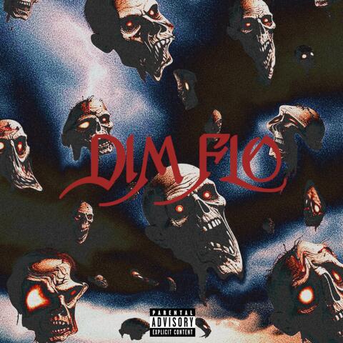 DIMflo album art