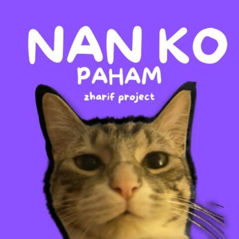 Nan ko Paham Style Kondang album art