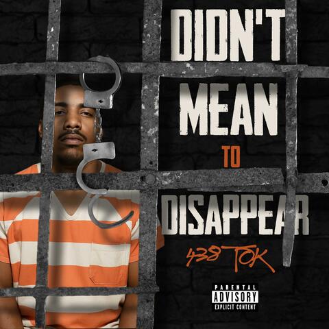 Didn't Mean To Disappear album art