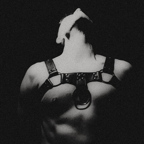 NO ME VAS A PARAR album art