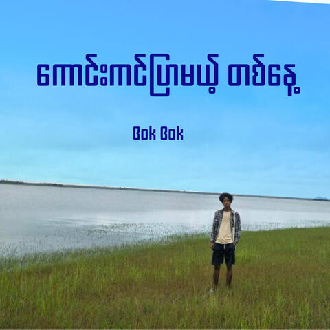 ကောင်းကင်ပြာမယ့်တစ်နေ့ album art