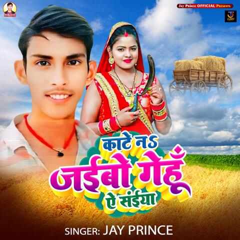Kate Na Jaibo Genhu Ae Saiya album art