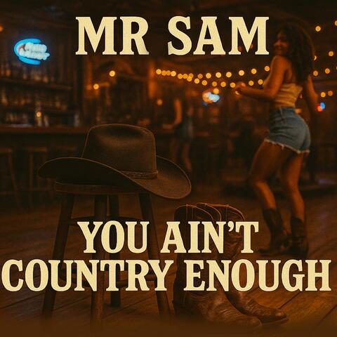 YOU AIN'T COUNTRY ENOUGH album art