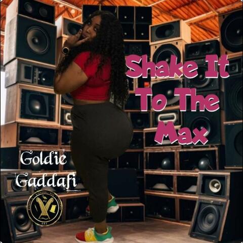 Shake It To The Max album art