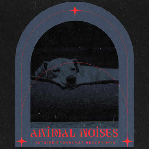 Animal Noises album art