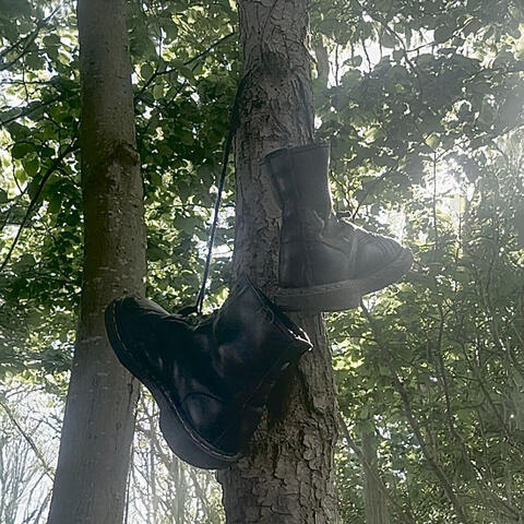 Yew Facade album art