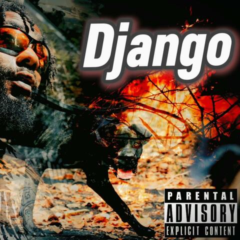 Django album art