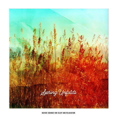 Spring Unfolds album art