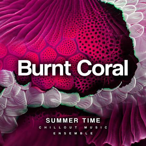 Burnt Coral album art