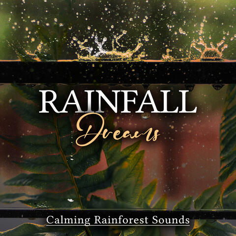 Rainfall Dreams album art