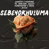 Image of Sebeyokhuluma