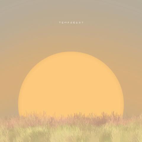 Comfort music to soft heart album art