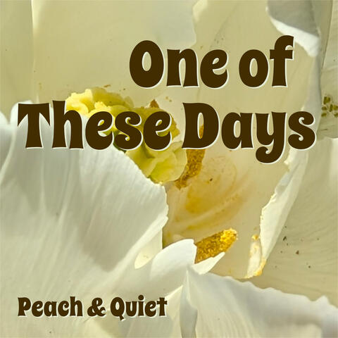 One of These Days album art
