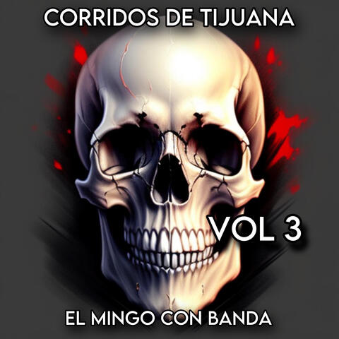 El Mingo Con Banda, Vol. 3 album art