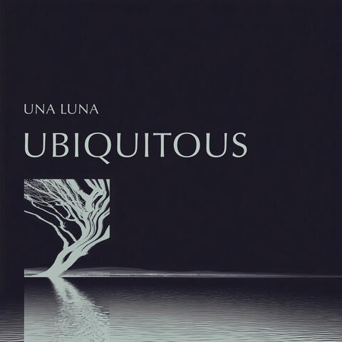 Ubiquitous album art