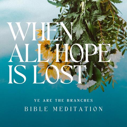 When all hope is lost album art