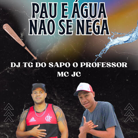PAU E ÁGUA NÃO SE NEGA album art