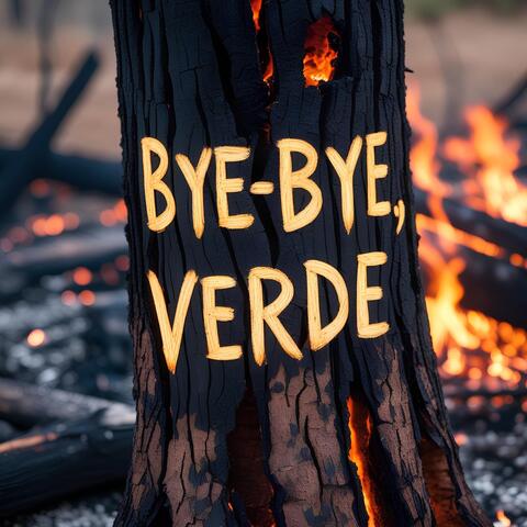 Bye-bye, Verde album art