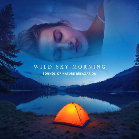 Wild Sky Morning album art