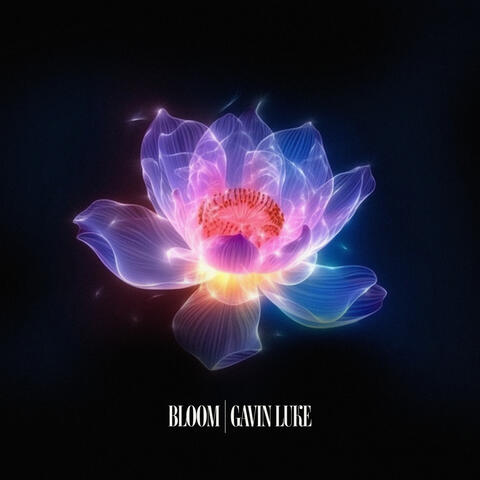 Bloom album art