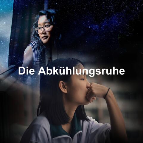 Die Abkühlungsruhe album art