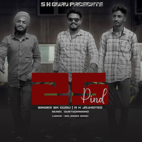25 PIND album art