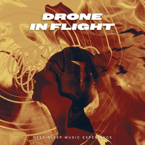 Drone in Flight album art
