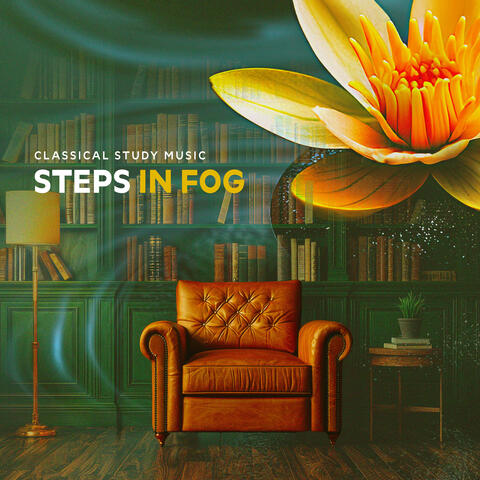 Steps In Fog album art
