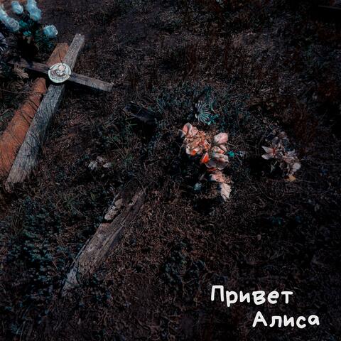 кладбище моих забытых эмоций album art
