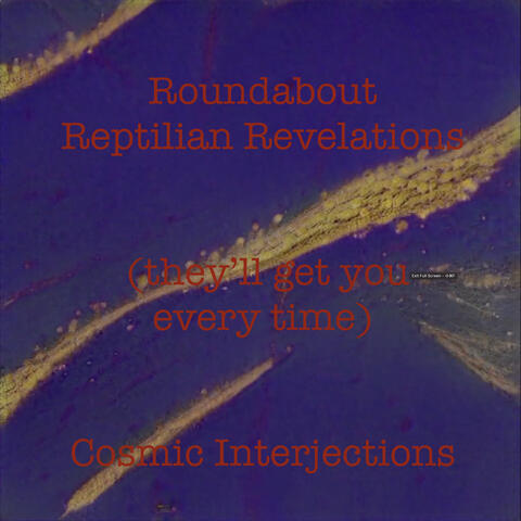Roundabout Reptilian Revelations (they'll get you every time) album art