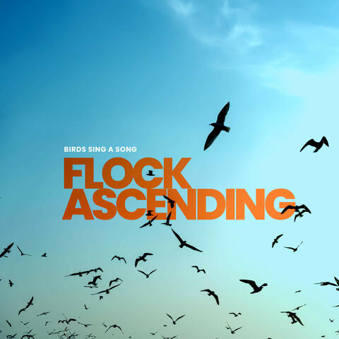 Flock Ascending album art