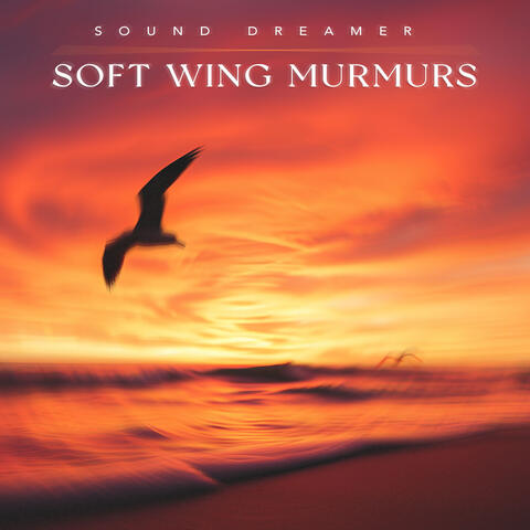 Soft Wing Murmurs album art