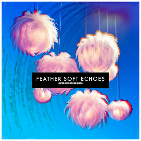 Feather Soft Echoes album art