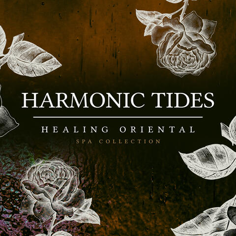 Harmonic Tides album art