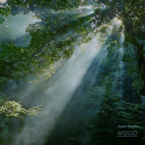 Wood album art
