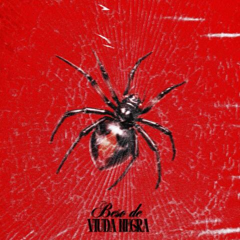 Beso de Viuda Negra album art