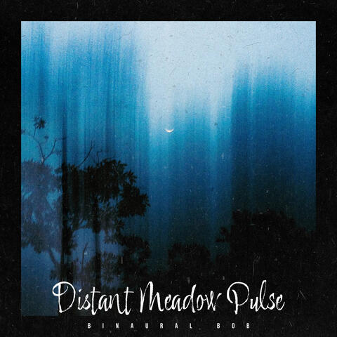 Distant Meadow Pulse album art