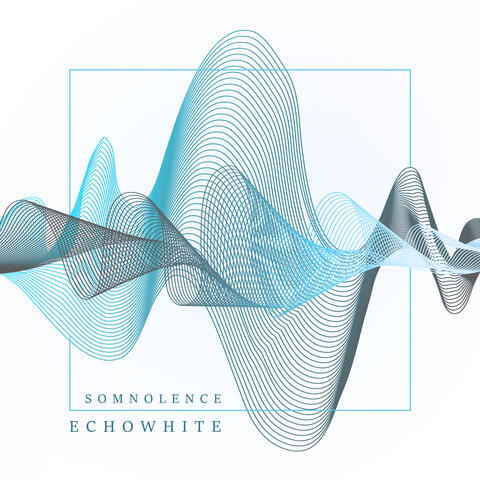 EchoWhite album art