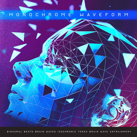 Monochrome Waveform album art