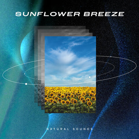 Sunflower Breeze album art