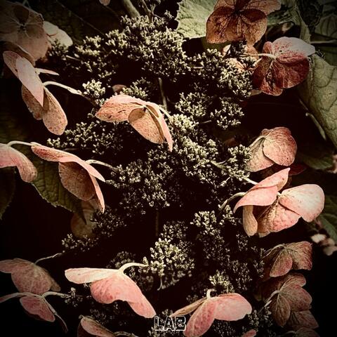 The Harvest (Time To Reap 3) album art
