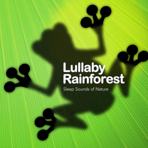 Lullaby Rainforest album art