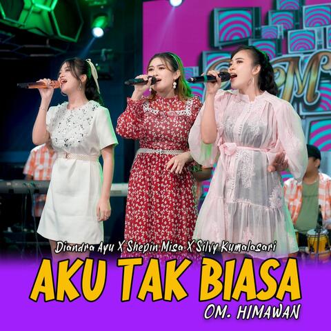 Aku Tak Biasa album art